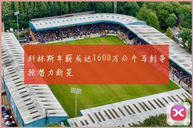科林斯年薪或达1600万公牛马刺争抢潜力新星